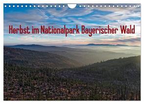 Herbst im Nationalpark Bayerischer Wald (Wandkalender 2024 DIN A4 quer), CALVENDO Monatskalender von Enders,  Borg