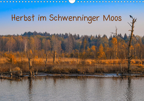 Herbst im Schwenninger Moos (Wandkalender 2021 DIN A3 quer) von Christine Horn,  BlattArt