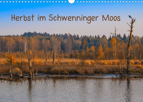 Herbst im Schwenninger Moos (Wandkalender 2022 DIN A3 quer) von Christine Horn,  BlattArt