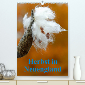 Herbst in Neuengland (Premium, hochwertiger DIN A2 Wandkalender 2022, Kunstdruck in Hochglanz) von Enders,  Borg