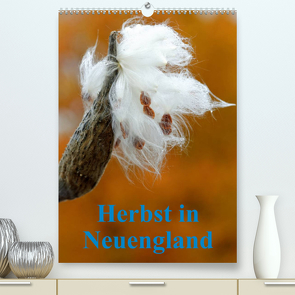 Herbst in Neuengland (Premium, hochwertiger DIN A2 Wandkalender 2023, Kunstdruck in Hochglanz) von Enders,  Borg