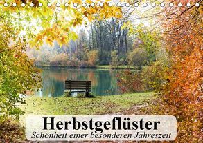 Herbstgeflüster. Schönheit einer besonderen Jahreszeit (Tischkalender 2019 DIN A5 quer) von Stanzer,  Elisabeth