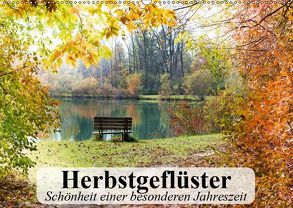 Herbstgeflüster. Schönheit einer besonderen Jahreszeit (Wandkalender 2019 DIN A2 quer) von Stanzer,  Elisabeth
