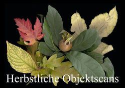 Herbstliche Objektscans (Posterbuch DIN A3 quer) von Hufeld,  Bernd