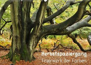 Herbstspaziergang – Feuerwerk der Farben (Posterbuch DIN A4 quer) von Wittbrock,  Uwe