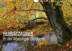 Herbstzauber in der Maisinger Schlucht (Wandkalender 2018 DIN A4 quer) von Frost,  Anja