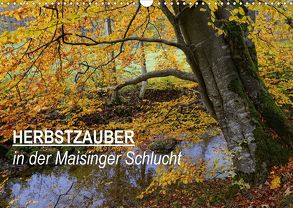 Herbstzauber in der Maisinger Schlucht (Wandkalender 2020 DIN A3 quer) von Frost,  Anja