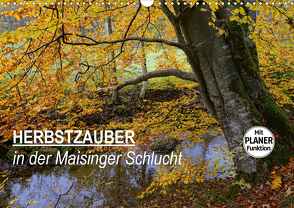 Herbstzauber in der Maisinger Schlucht (Wandkalender 2021 DIN A3 quer) von Frost,  Anja