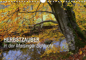 Herbstzauber in der Maisinger Schlucht (Wandkalender 2021 DIN A4 quer) von Frost,  Anja