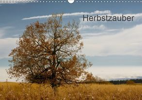 Herbstzauber (Wandkalender 2019 DIN A3 quer) von Klinkowitz,  Gerd