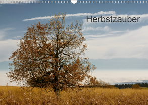Herbstzauber (Wandkalender 2020 DIN A3 quer) von Klinkowitz,  Gerd