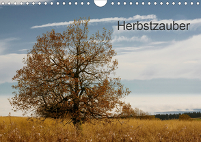 Herbstzauber (Wandkalender 2020 DIN A4 quer) von Klinkowitz,  Gerd
