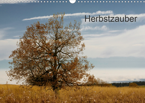 Herbstzauber (Wandkalender 2021 DIN A3 quer) von Klinkowitz,  Gerd