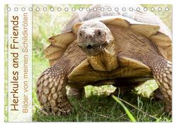 Herkules and Friends (Tischkalender 2024 DIN A5 quer), CALVENDO Monatskalender von Sixt,  Marion