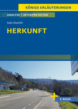 Herkunft von Saša Stanišić – Textanalyse und Interpretation von Möbius,  Thomas, Stanišić,  Saša