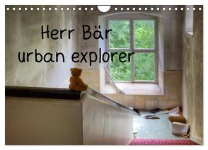 Herr Bär urban explorer (Wandkalender 2024 DIN A4 quer), CALVENDO Monatskalender von Buchmann,  Oliver