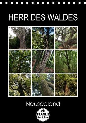 Herr des Waldes – Neuseeland (Tischkalender 2018 DIN A5 hoch) von Flori0