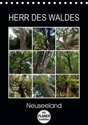 Herr des Waldes – Neuseeland (Tischkalender 2019 DIN A5 hoch) von Flori0