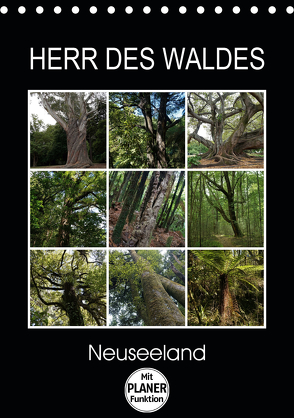 Herr des Waldes – Neuseeland (Tischkalender 2020 DIN A5 hoch) von Flori0