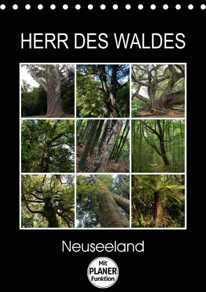 Herr des Waldes – Neuseeland (Tischkalender 2021 DIN A5 hoch) von Flori0