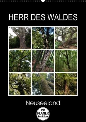 Herr des Waldes – Neuseeland (Wandkalender 2018 DIN A2 hoch) von Flori0