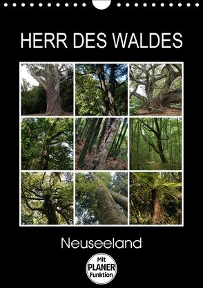 Herr des Waldes – Neuseeland (Wandkalender 2018 DIN A4 hoch) von Flori0