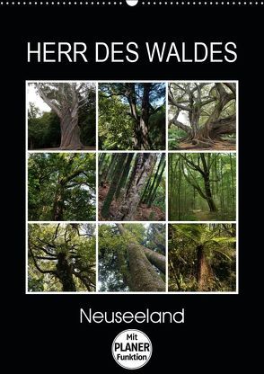 Herr des Waldes – Neuseeland (Wandkalender 2019 DIN A2 hoch) von Flori0