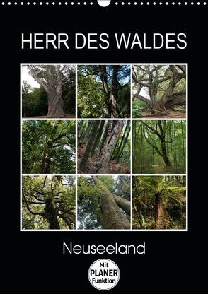Herr des Waldes – Neuseeland (Wandkalender 2019 DIN A3 hoch) von Flori0