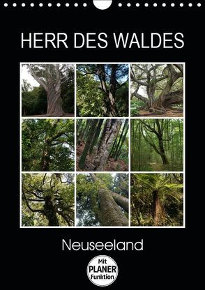 Herr des Waldes – Neuseeland (Wandkalender 2019 DIN A4 hoch) von Flori0