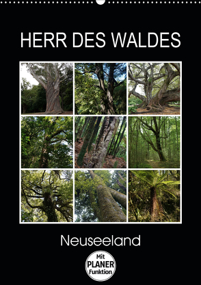 Herr des Waldes – Neuseeland (Wandkalender 2020 DIN A2 hoch) von Flori0