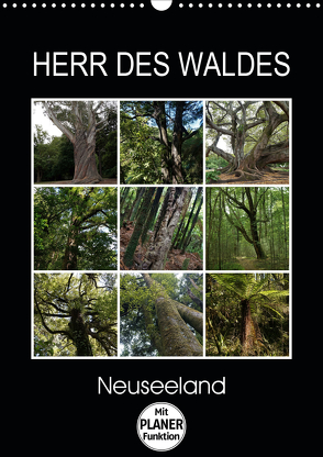 Herr des Waldes – Neuseeland (Wandkalender 2020 DIN A3 hoch) von Flori0