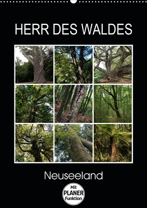 Herr des Waldes – Neuseeland (Wandkalender 2021 DIN A2 hoch) von Flori0