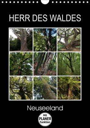 Herr des Waldes – Neuseeland (Wandkalender 2021 DIN A4 hoch) von Flori0