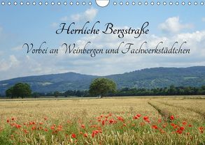 Herrliche Bergstraße Vorbei an Weinbergen und Fachwerkstädtchen (Wandkalender 2019 DIN A4 quer) von Andersen,  Ilona