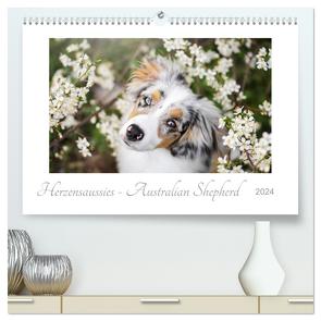 Herzensaussies – Australian Shepherd (hochwertiger Premium Wandkalender 2024 DIN A2 quer), Kunstdruck in Hochglanz von Kudla,  Madlen