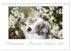 Herzensaussies – Australian Shepherd (Tischkalender 2024 DIN A5 quer), CALVENDO Monatskalender von Kudla,  Madlen