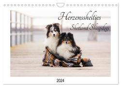 Herzensshelties – Shetland Sheepdogs (Wandkalender 2024 DIN A4 quer), CALVENDO Monatskalender von Kudla,  Madlen