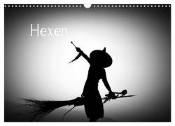 Hexen (Wandkalender 2024 DIN A3 quer), CALVENDO Monatskalender von Villard,  Michel