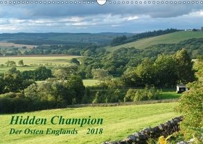 Hidden Champion (Wandkalender 2018 DIN A3 quer) von wenando