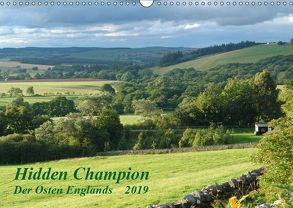 Hidden Champion (Wandkalender 2019 DIN A3 quer) von wenando