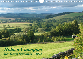Hidden Champion (Wandkalender 2020 DIN A4 quer) von wenando