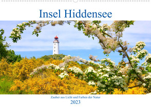 Hiddensee mon amour (Wandkalender 2023 DIN A2 quer) von Anders,  Holm