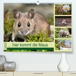 … hier kommt die Maus … (Premium, hochwertiger DIN A2 Wandkalender 2023, Kunstdruck in Hochglanz) von GUGIGEI