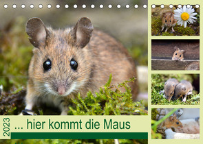 … hier kommt die Maus … (Tischkalender 2023 DIN A5 quer) von GUGIGEI