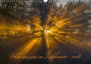 Hier und jetzt im Teufelsmoor – 2018 (Wandkalender 2018 DIN A3 quer) von Arndt,  Maren