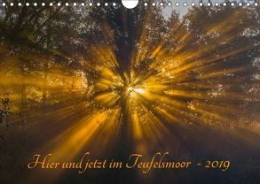 Hier und jetzt im Teufelsmoor – 2019 (Wandkalender 2019 DIN A4 quer) von Arndt,  Maren