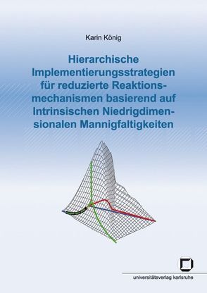 Hierarchische Implementierungsstrategien für reduzierte Reaktionsmechanismen basierend auf Intrinsischen Niedrigdimensionalen Mannigfaltigkeiten von König,  Karin