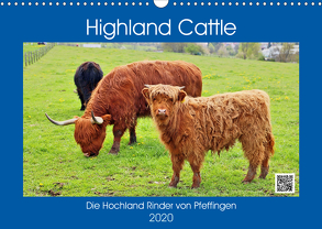 Highland Cattle, die Hochlandrinder aus Pfeffingen (Wandkalender 2020 DIN A3 quer) von Geiger,  Günther