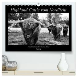 Highland Cattle vom Nordlicht – Faszination Hochland Rind (hochwertiger Premium Wandkalender 2024 DIN A2 quer), Kunstdruck in Hochglanz von Knab,  Katharina