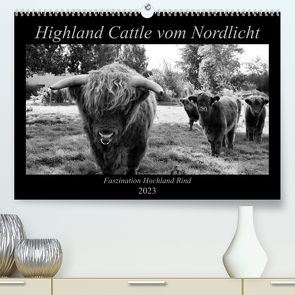 Highland Cattle vom Nordlicht – Faszination Hochland Rind (Premium, hochwertiger DIN A2 Wandkalender 2023, Kunstdruck in Hochglanz) von Knab,  Katharina